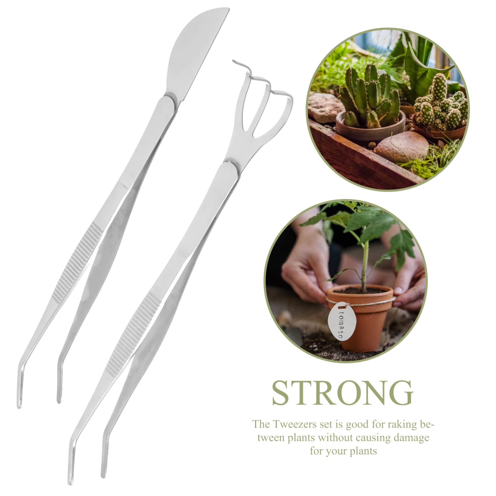 DOITOOL 1 Set Bonsai Tweezers Plating Tweezers Mini Plant Rake Tweezers for Crafts Bonsai Tools Crafts Tweezers Bonsai Tree Tweezers Angled Potted Plant Stainless Steel Moss