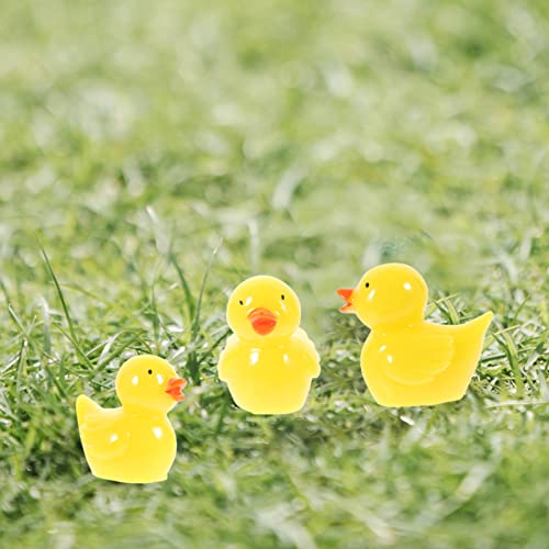 SEWACC 10pcs Micro Landscape Ornament Kitten Ornament Miniature Bonsai Decor Desk Topper Small Statue Garden Decoration Mini Ducks Decorations for Home Little Duck Resin Animal