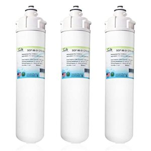 swift green filters sgf-96-31 cto-s-b compatible commercial water filter for ev9693-31 (1 pack), made in usa