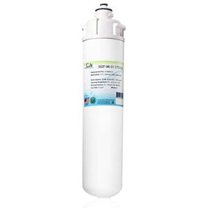 Swift Green Filters SGF-96-31 CTO-S-B Compatible Commercial Water Filter for EV9693-31 (1 Pack), Made in USA