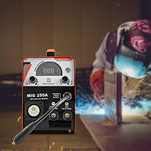 DNYSYSJ 3 in1 MIG Welder Dual Voltage Input 110V/220V Suitable for MIG, MMA and LIFT TIG