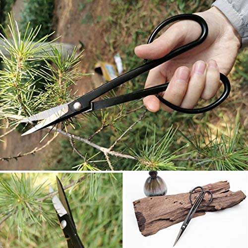 Bonsai Tool, Garden Cutter Scissors, Multifunctional Gardening Needs Garden Cutting Leaves for Home Orchard