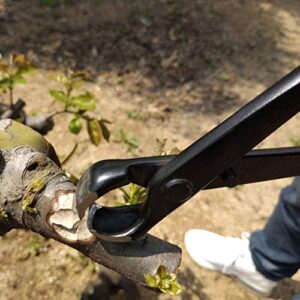 Bonsai Tool, Garden Cutter Scissors, Multifunctional Gardening Needs Garden Cutting Leaves for Home Orchard