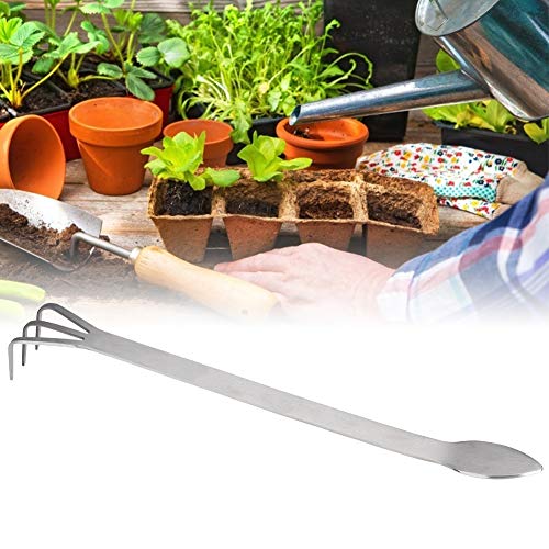 GLOGLOW Root Spatula, Bonsai Rake, Stainless Steel Bonsai Beginner Accessory for Bonsai Bonsai Tool Plant Pot