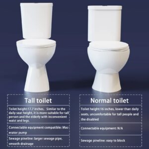 Simple Project 19inch Tall Toilet | Elongated Toilets 1.28GPF Powerful Dual Flush | Rear Outlet Toilet, High Toilets For Seniors, Disabled & Tall Person