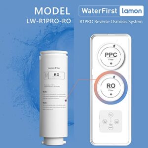 Lamon R1PRO RO Replacement Filter, Replacement for R1PRO Reverse Osmosis System, 2-year Lifetime