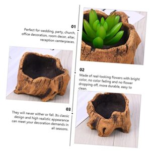 HANABASS 2pcs Unique Log Desktop Stump Decor Office Tree Design Creative Driftwood Indoor Container Vintage Bonsai Brown Cactus Pots Wooden Ornament Root Planters Tabletop Succulents for