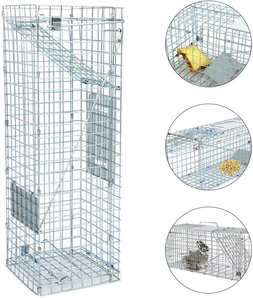 Jahy2Tech Live Animal Trap Cage 24"X8"X 7.5" Cat Trap Cage Foldable Steel Humane Catch and Release for Rabbit, Groundhog, Squirrel, Raccoon, Mole, Gopher, Cat