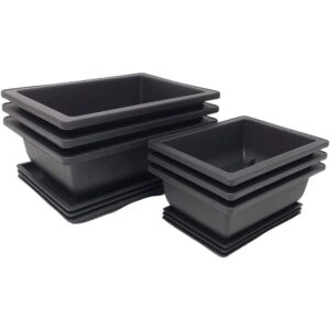 tinyroots bonsai pots with humidity trays - training planters, built in mesh, 6-inch and 8-inch