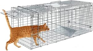 large animal trap for adult cat, rabbit groundhog squirrel raccoon mole gopher chicken opossum skunk chipmunk, 32inch live traps for animals outdoor indoor collapsible steel release animal cage