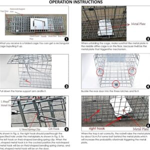 Large Animal Trap for Adult Cat, Rabbit Groundhog Squirrel Raccoon Mole Gopher Chicken Opossum Skunk Chipmunk, 32inch Live Traps for Animals Outdoor Indoor Collapsible Steel Release Animal Cage