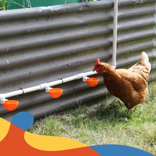 Lil'Clucker 5pc Large Automatic Chicken Waterer Cups with 1/2" PVC Tee Fittings - Chicken Water Cups, Chicken Water Feeder, for Chicks, Duck, Goose, Turkey - Poultry Waterer Feeder Kit - (Orange)