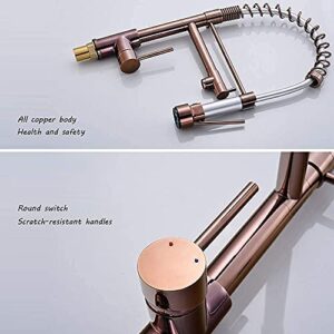 Swivel and Spring Spout Pull Out Taps Pull-Out 360°Swivel Kitchen Mixer Tap Pull Down Single Lever Basin Kitchen Faucet(Rose Gold)