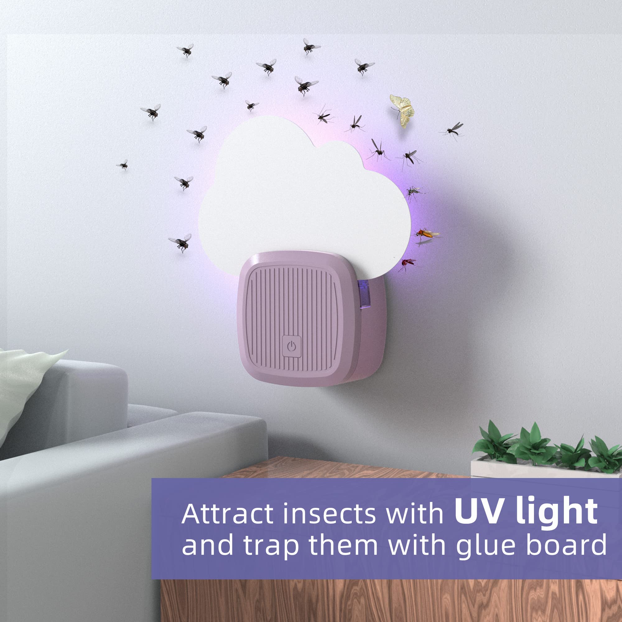 Careland Plug in Fly Traps for Indoors Electric Flying Insect Trap Gnat Killer for Home - Catch Fruit Flies, Mosquitoes, Gnats, Moths & Other Insects with UV Light and Sticky Board (Purple 2pack)