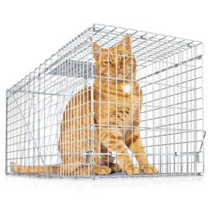 exuby large cat trap for stray/feral cats & other animals - 32"x12"x13” - catch them live & relocate - extra large 8.5" trigger platform - also for; racoon, rabbit, possum, skunk, bobcat, squirrel