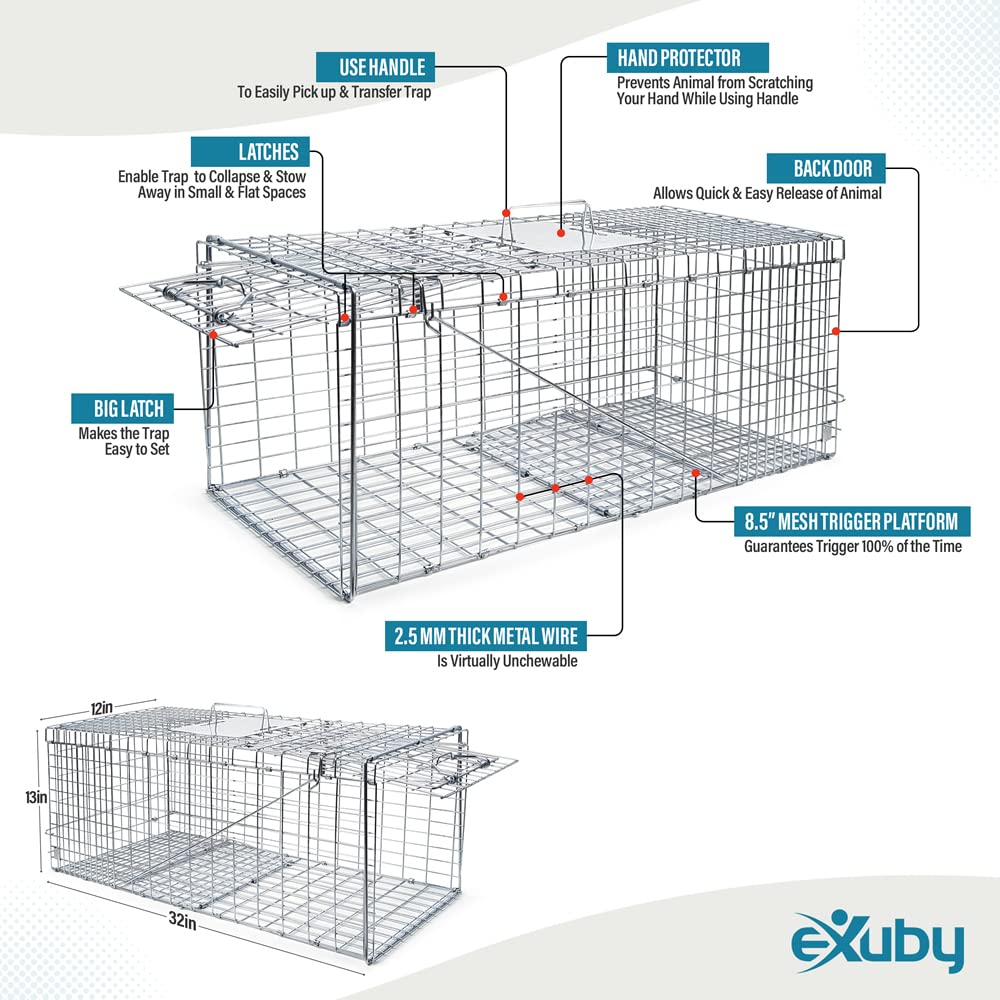 eXuby Large Cat Trap for Stray/Feral Cats & Other Animals - 32"x12"x13” - Catch Them Live & Relocate - Extra Large 8.5" Trigger Platform - Also for; Racoon, Rabbit, Possum, Skunk, Bobcat, Squirrel