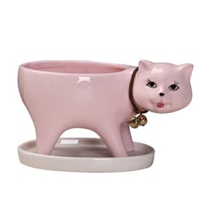 hanabass decoration animal lovely tail pink decor gift and saucer office cat desktop planter plant shaped drainage bonsai flowerpot mini panda pots with for statue decorative pot home tray