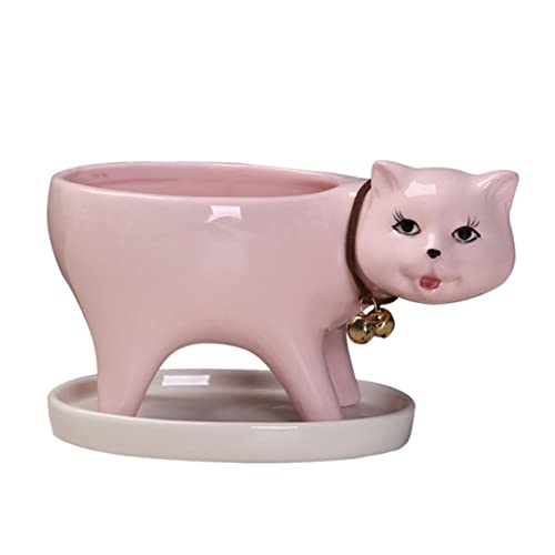 HANABASS Decoration Animal Lovely Tail Pink Decor Gift and Saucer Office Cat Desktop Planter Plant Shaped Drainage Bonsai Flowerpot Mini Panda Pots with for Statue Decorative Pot Home Tray