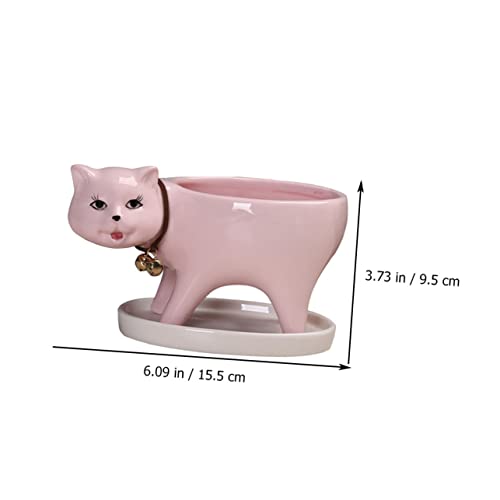 HANABASS Decoration Animal Lovely Tail Pink Decor Gift and Saucer Office Cat Desktop Planter Plant Shaped Drainage Bonsai Flowerpot Mini Panda Pots with for Statue Decorative Pot Home Tray