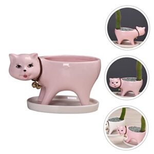 HANABASS Decoration Animal Lovely Tail Pink Decor Gift and Saucer Office Cat Desktop Planter Plant Shaped Drainage Bonsai Flowerpot Mini Panda Pots with for Statue Decorative Pot Home Tray