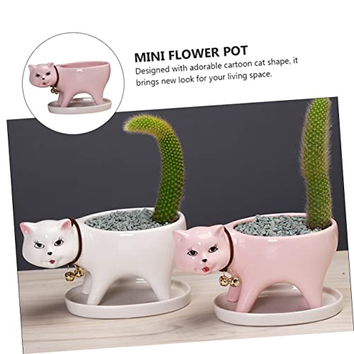 HANABASS Decoration Animal Lovely Tail Pink Decor Gift and Saucer Office Cat Desktop Planter Plant Shaped Drainage Bonsai Flowerpot Mini Panda Pots with for Statue Decorative Pot Home Tray