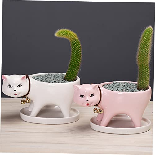 HANABASS Decoration Animal Lovely Tail Pink Decor Gift and Saucer Office Cat Desktop Planter Plant Shaped Drainage Bonsai Flowerpot Mini Panda Pots with for Statue Decorative Pot Home Tray