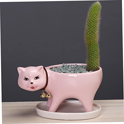 HANABASS Decoration Animal Lovely Tail Pink Decor Gift and Saucer Office Cat Desktop Planter Plant Shaped Drainage Bonsai Flowerpot Mini Panda Pots with for Statue Decorative Pot Home Tray