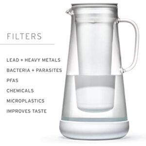 LifeStraw Home Pitcher Glass and Silicone Base 7 cup Pebble