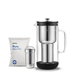 aarke Purifier | Glass Water Filter Pitcher with Refillable Steel Filter | 2.4L / 10 Cups | Includes Pure Filter Granules | Dishwasher Friendly