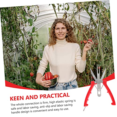 YARNOW 1pc Double Edge Picking Scissors Handheld Pruners Plant Tree Branch Cutter Gardening Hand Pruner Gardening Shears Plant Tree Pruning Shears Stainless Steel Branch Shears Abs