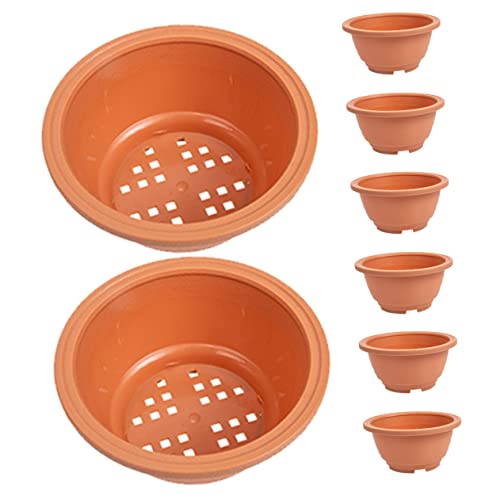 Asakkura 24 pcs Container Home Flower Training Planters Succulent Growing Gardening Bonsai Plants Garden for Nursery Round Planting Drainage Office Hole Cm Pot Cactus Plant Deep Plastic