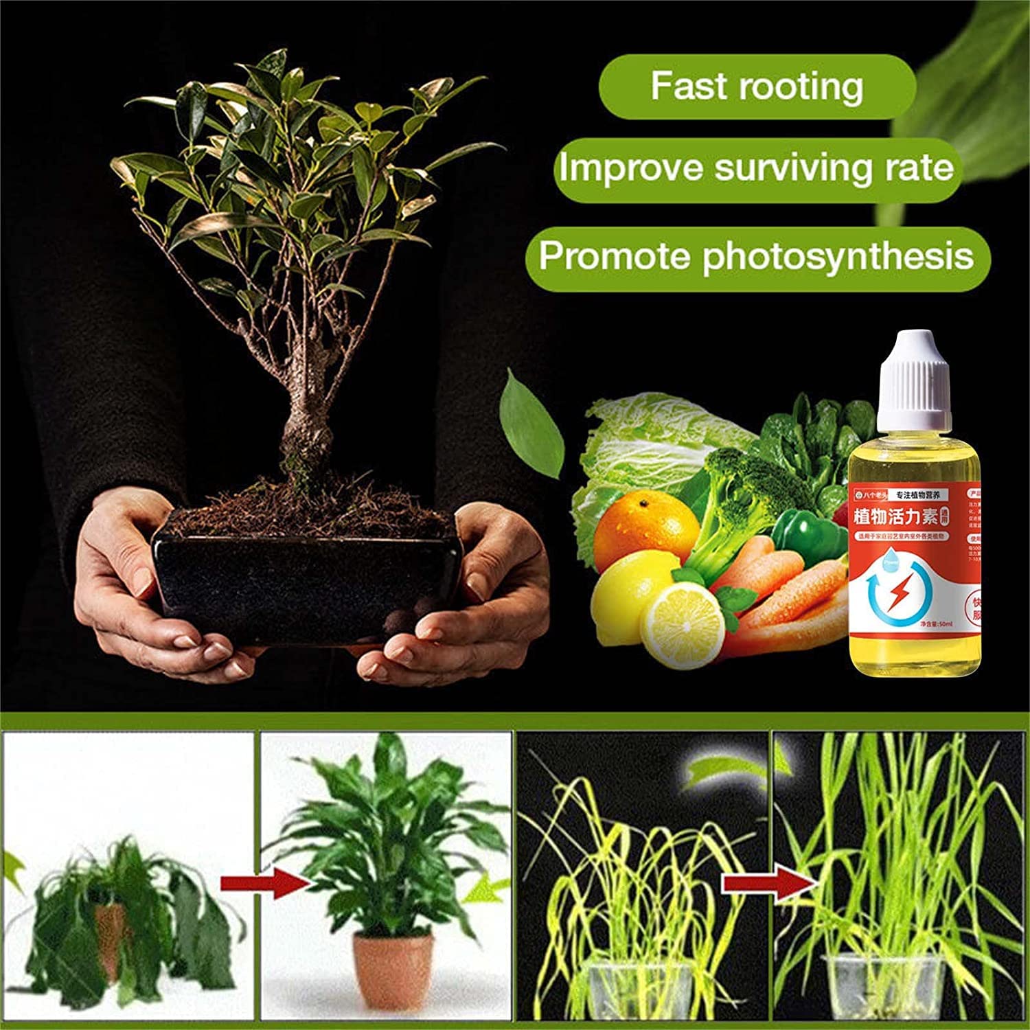 Plant Growth Enhancer Supplement, Rooting Hormone Supplement, 2023 New Plant Growth Enhancer Supplement for Plant Promotes Rooting, Grow New Plants from Cutting (3PCS)