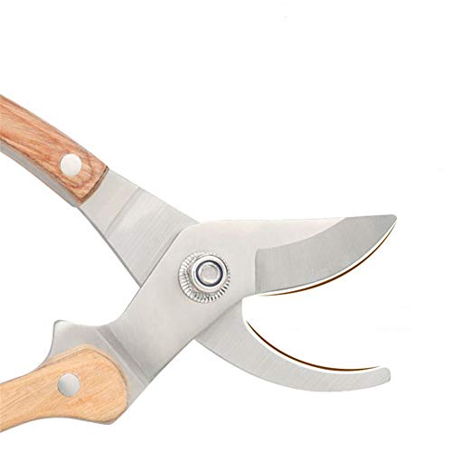 Garden Fruit Tree Pruning Shears Pliers Bonsai Scissors Grafting Pruning Lawn Mower Garden Hand Tools