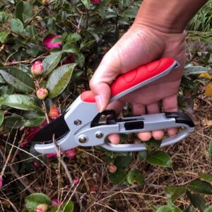 Garden Pruning Shears Secateurs Tools Fruit Tree Pruning Scissors Bonsai Branch Pruners Gardening Secateurs Trimmer Tools