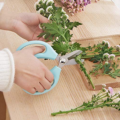 Stainless Steel Garden Florist Pruning Shears Gardening Handle Scissors Grafting Tool Branch Floral Bonsai Trimming Scissor