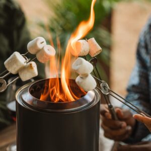 Solo Stove Mesa Accessory Pack | Incl. 4 Stainless Steel Mini Sticks + Stick Rests, Pellet Scoop, Mesa Lid, Carry Case, Accessories for Outdoor Fire Pit, 8.8 x 16 in, 2.5 lbs