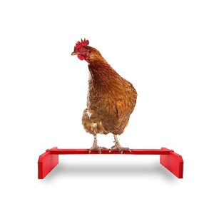 Backyard Barnyard Chicken Roosting Bar Perch for Baby Chicks to Adult Birds. Made in USA!!! Poultry Habitat, Brooder, Coops or Run. Easy-Clean Bird Stand for Chicks, Pollos, Laying Hens. (Red)