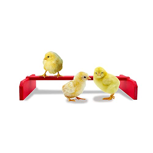 Backyard Barnyard Chicken Roosting Bar Perch for Baby Chicks to Adult Birds. Made in USA!!! Poultry Habitat, Brooder, Coops or Run. Easy-Clean Bird Stand for Chicks, Pollos, Laying Hens. (Red)