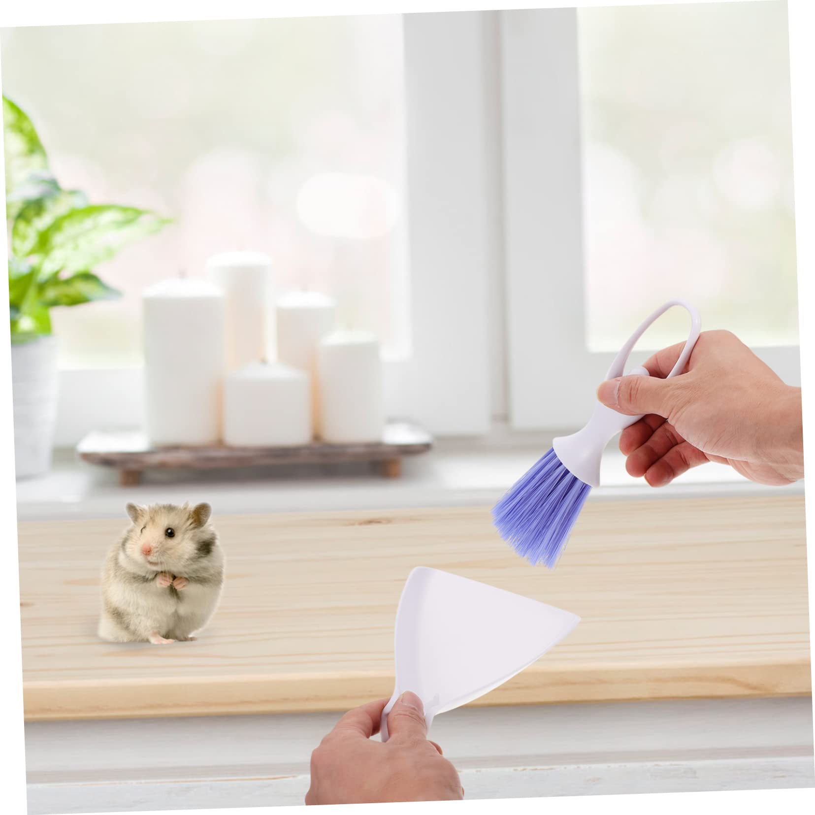 BCOATH 6 Sets Hamster Cleaning Tool Mini Hand Broom and Dustpan Cage Cleaning Broom Desktop Broom Pet Cage Brush Hamster Broom Small Plastic Broom Mini Brooms PVC Household Tableware