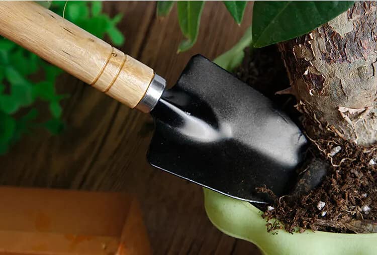 Gardenera Bonsai 3PC Gardening Tool Set: Rake, Spade, Shovel - Wooden Handles - Best Kit for Potted Plant, Flower and Seedling Care - Ergonomic Design for Little Hands - Great Gift for Gardeners