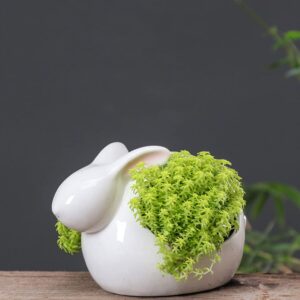 GANAZONO Bunny Succulent Planter Outdoor Decor Rabbit Shaped Planter Ceramic Plant Pot Easter Bonsai Succulent Container Bunny Plant Pot for Easter Party Favors Decoration Indoor Plants