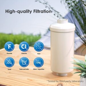 Waterdrop Gravity-fed Water Filter System with Black Carbon Filter and Fluoride Filter, 2.25-Gallon Stainless-Steel Filter System, Reduces up to 99% of Chlorine & Bad Taste-King Tank Series