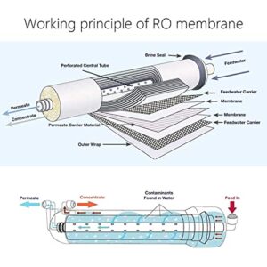 3012-400G Compatible RO Membrane,0.0001 Micron Reverse Osmosis Replacement 400 GPD RO Membrane Water Filter System (3012)