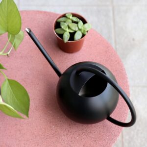 Watering Can, 400ml Black Stainless Steel Watering Can Pot with Long Spout, Small Watering Can Indoor Plant, for Indoor House Plants Bonsai Outdoor Garden Flower Decorative