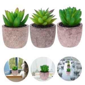 WOONEKY 1 Set 3 Pcs Succulent Bonsai Faux Succulents Potted Plastic Succulents Plants Various Faux Succulents Home Decor Artificial Plant Fake Succulent Mini False Cactus Pulp Basin Office