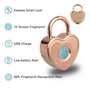 Tcyoatoa Heart Shaped Fingerprint Padlock, Small Smart Padlock for Gym Locker, Backpag, School, Mailbox, Travel Suitcase (Rose Gold)