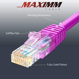 Maximm Cat 6 Ethernet Cable 3 Ft, 100% Pure Copper, Cat6 Cable (20 Pack) LAN Cable, Internet Cable, Patch Cable and Network Cable - UTP (Pink) 3 Feet