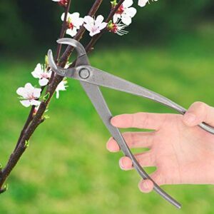 Professional Pruning Shears for Trimming Branches, Flowers, Fruit Trees and Bonsai - Lightweight Ergonomic Multifunction Carbon Steel Garden Branch Cutter Long Handle Scissor Shear Tool