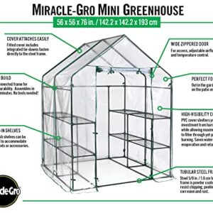 Miracle-Gro 4'8" x 4'8" x 6'5" All-Season Small Walk-in Greenhouse with 8 Wire Shelves for Outdoors, Easy-Access and Durable, Translucent