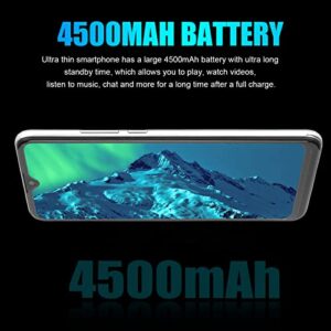 6GB 64GB Smartphone, 6GB 64GB H22 6.5 Inch Smartphone for Work (US Plug)